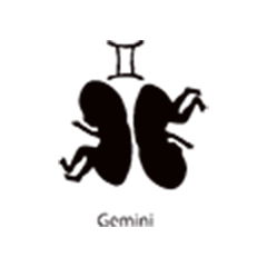 Bliznieta 3